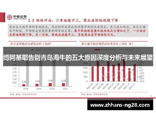 博阿基耶告别青岛海牛的五大原因深度分析与未来展望