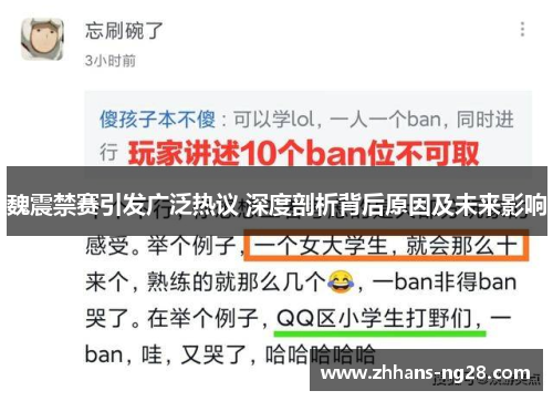 魏震禁赛引发广泛热议 深度剖析背后原因及未来影响